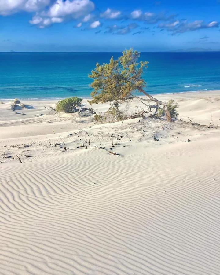 Case Vacanze Il Sogno 2 Porto Pino Exteriör bild